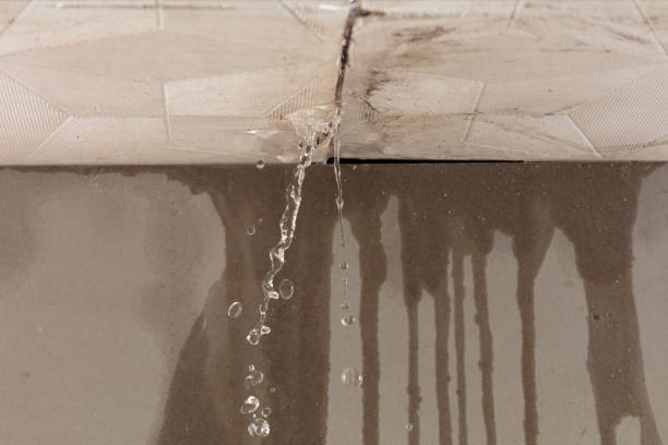 Professional Structural Drying technician working in Richmond, OH